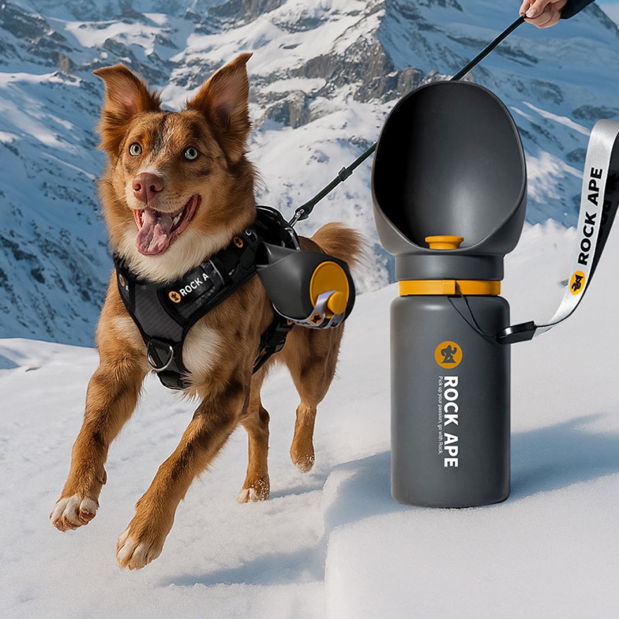 City Paw Print Water Bottle, Rock Ape walk gear