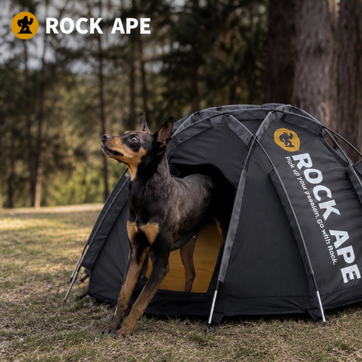 Pet Tent, Rock Ape camp gear