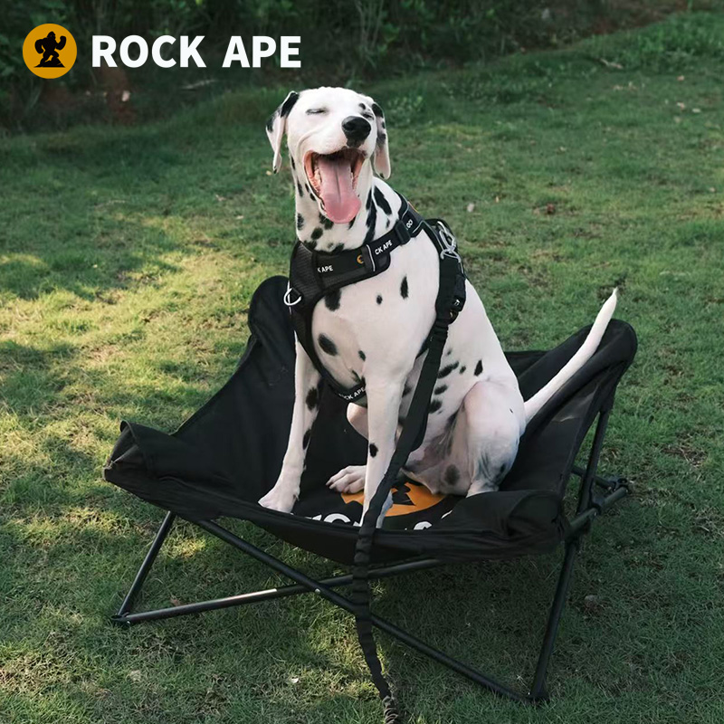 Dalmatian sitting on the black Rock Ape Camp Bed outdoors