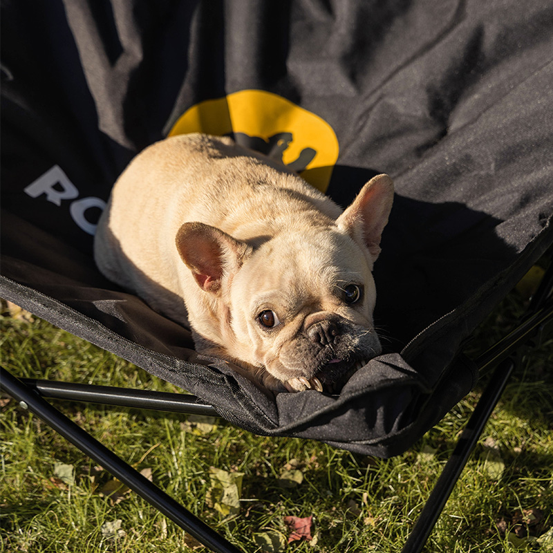 French bulldog resting on the portable Rock Ape Camp Bed